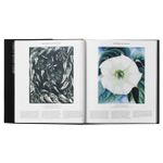 Plant: Exploring The Botanical World