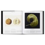 Plant: Exploring The Botanical World