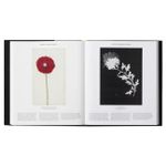 Plant: Exploring The Botanical World