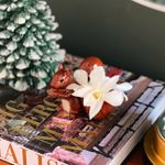 Porta-ovos Esquilo