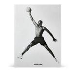 Air Jordan (Classic)