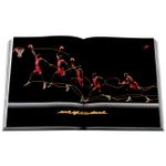 Air Jordan (Classic)