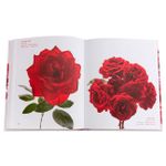 The Color Of Roses: a Curated Spectrum Of 300 Blooms