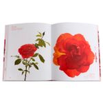 The Color Of Roses: a Curated Spectrum Of 300 Blooms
