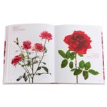 The Color Of Roses: a Curated Spectrum Of 300 Blooms