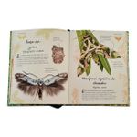 Uma Antologia de Borboletas e Mariposas