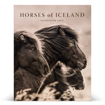 Horses of Iceland