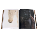 Horses of Iceland