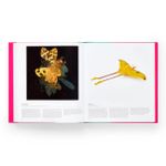 Butterfly: Exploring The World Of Lepidoptera