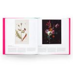Butterfly: Exploring The World Of Lepidoptera