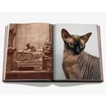 Chic Cats