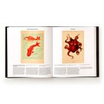 Animal: Exploring The Zoological World