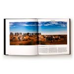 Animal: Exploring The Zoological World