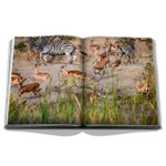 Londolozi: The Safari That Changed Everything