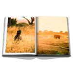 Londolozi: The Safari That Changed Everything