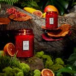 Mini Vela Pote Vidro 50H Relevo Goji Tarocco Orange Voluspa 