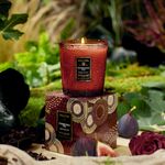 Vela Copo Vidro Classico 60H Forbidden Fig Voluspa 