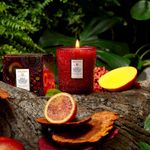 Vela Copo Vidro Clássico 60H Goji Tarocco Orange Voluspa 