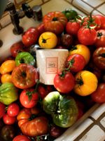 Vela Copo Vidro Clássico 60H Tomato Trellis 