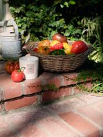 Vela Copo Vidro Clássico 60H Tomato Trellis 