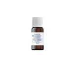 Fill Canal Cimento Endodôntico Líquido (10ml) KIT C/2 UNI 