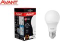 LAMPADA AVANT LED PERA 9W 6500K BIVOLT
