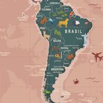 Papel de Parede - Mapa Terra Coral