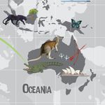 Papel de Parede - Mapa Grafite