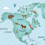 Papel de Parede - Mapa Animal Planet