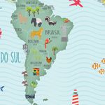 Papel de Parede Magnético - Mapa Fresh