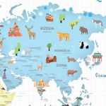 Papel de Parede Magnético - Mapa Coconut