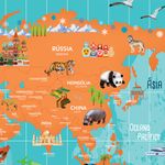 Papel de Parede Magnético - Mapa Aventura