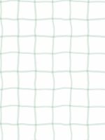 Papel de Parede - Gradil Rede de Gol
