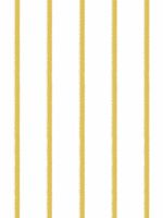 Papel de Parede - Linhas Brush