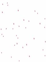 Papel de Parede - Sementes