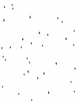 Papel de Parede - Sementes