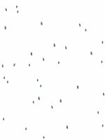 Papel de Parede - Sementes