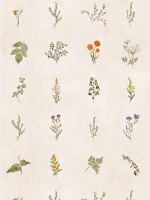 Papel de Parede - Flores do Tempo