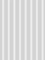 Papel de Parede - Linhas Triplas II