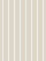Papel de Parede - Linhas Duplas II