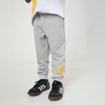 Calça Moletom Pensi Cinza Mescla