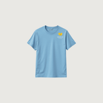 Camiseta Azul Despertar Educação