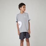 T-Shirt Pensi Cinza Mescla EFAF
