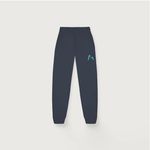 Jogging Bleu Marine Lycee Moliere