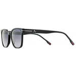 Óculos de Sol Aramis SAR033 C04
