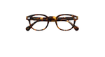 Óculos de Grau Moscot Lemtosh Classic Havana