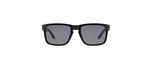 Óculos de Sol Oakley OO9102L