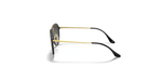 Óculos de Sol Ray Ban 4292N
