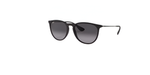 Óculos de Sol Ray Ban Erika