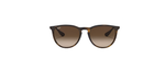Óculos de Sol Ray Ban Erika